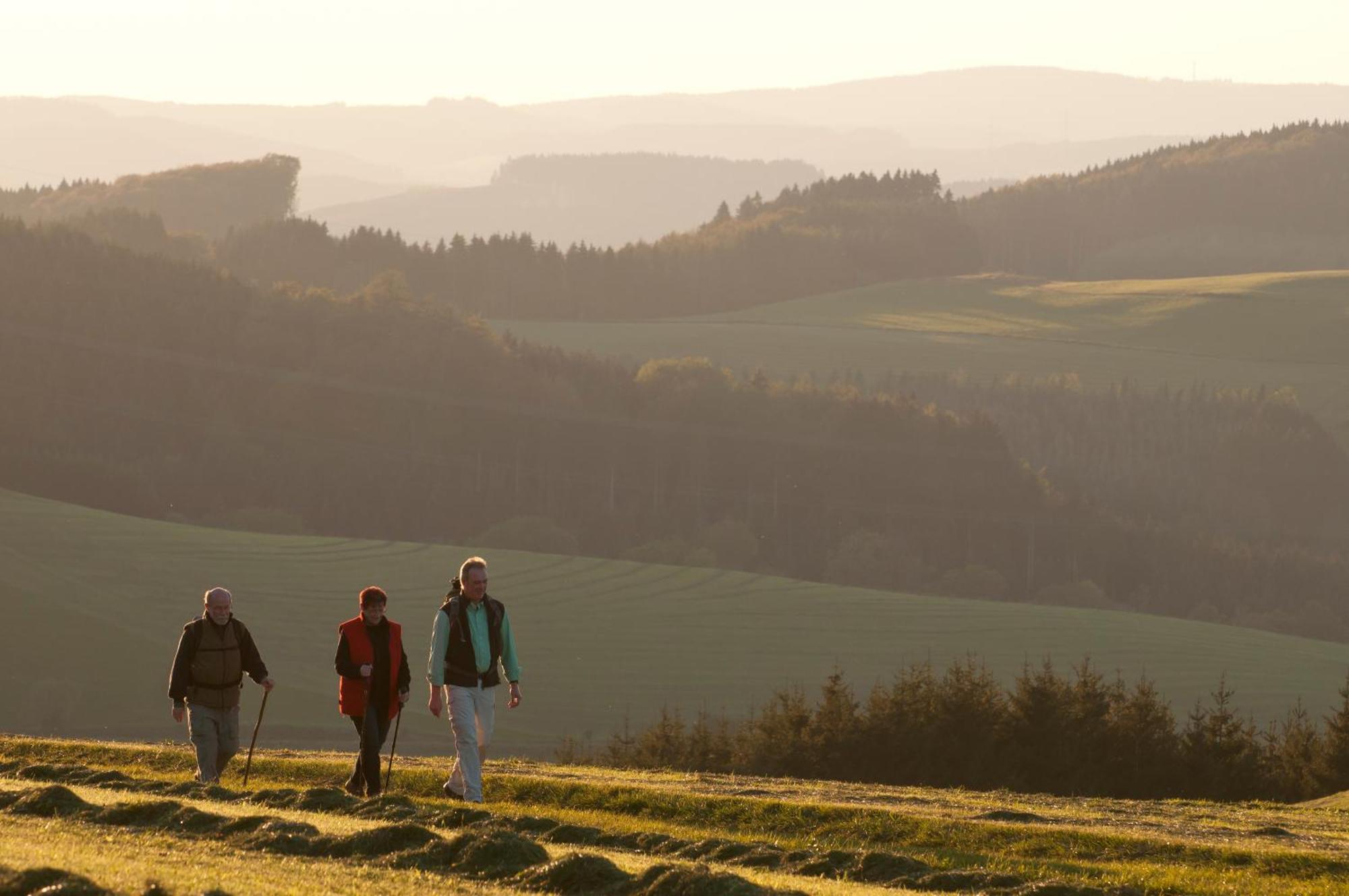Wuellner'S Landgasthof Schmallenberg Esterno foto
